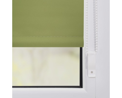 Grüne Fensterrollos am Fenster
