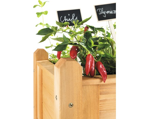 Holz-Hochbeet bepflanzt mit Chili und Thymian mit beschrifteten Tafeln