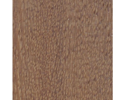 Holzstruktur Nahaufnahme