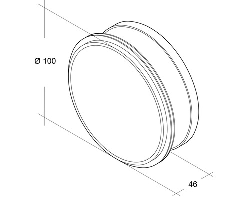 Technische Zeichnung eines runden Objekts mit einem Durchmesser von 100 mm und einer Tiefe von 46 mm.
