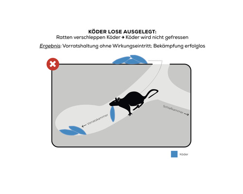 Grafik zur Schädlingsbekämpfung: Lose ausgelegtes Rattenköder wird von Ratten verschleppt und nicht gefressen, was die Bekämpfung erfolglos macht.
