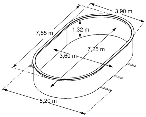 Abbildung eines ovalen Schwimmbeckens mit Maßangaben.