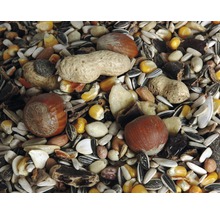 Nahaufnahme von Vogelfutter mit Nüssen, Samen und Mais