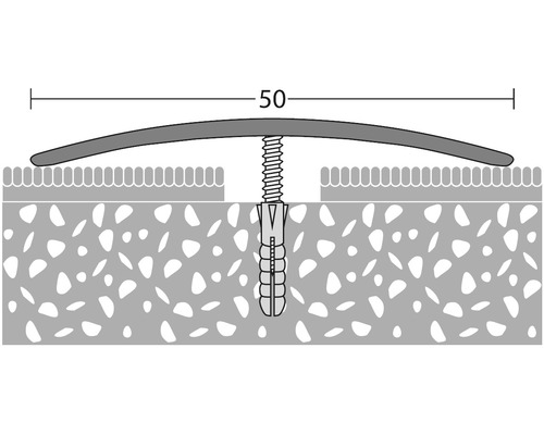 Schematische Darstellung eines Übergangsprofils mit einer Länge von 50 Zentimetern, befestigt mit Schraube und Dübel.