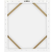 Rückseite einer Leinwand mit Holzrahmen und Aufhängevorrichtung