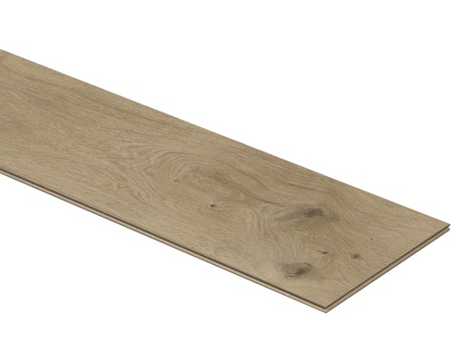 Laminatbodenpaneel mit Holzstruktur