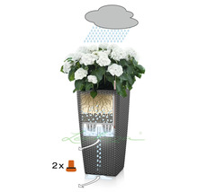 Illustration eines Blumenkastens mit Bewässerungssystem und weißen Hortensien.