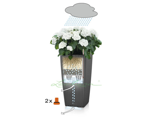 Illustration eines Blumenkastens mit Bewässerungssystem und weißen Hortensien.
