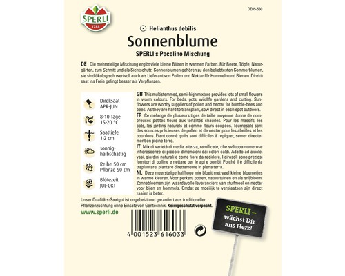 Samenpackung Sonnenblume Pocolino Mischung von Sperli