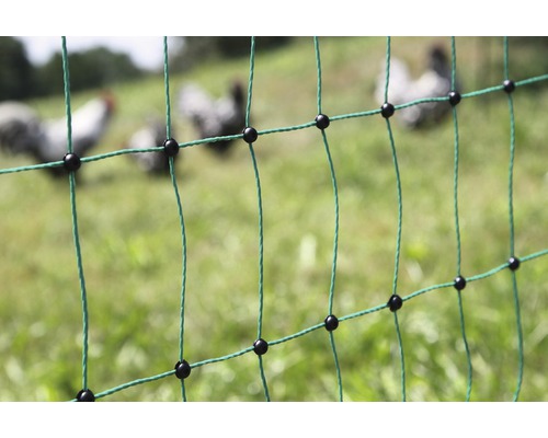 Geflügelnetz mit Hühnern im Hintergrund