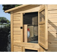Hühnerstall aus Holz mit offenem Fenster und Huhn im Inneren