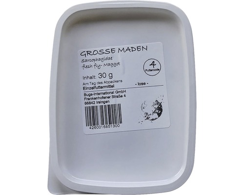 Große Maden Sarcophagidae Fleischfliegenmaden, 30 Gramm