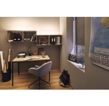 Helles Arbeitszimmer mit Schreibtisch, Stuhl, Wandregalen und Weltkarte