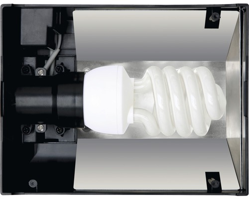 Energiesparlampe in Reflektor