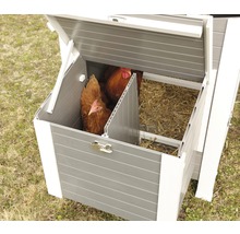 Hühner in einem Hühnerstall mit Nestern
