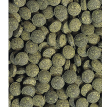 Hauptfutter Tetra PlecoTablets 58 Tabletten