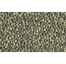 Hauptfutter Tetra PlecoTablets 58 Tabletten
