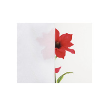 Strukturglas mit Blumendesign für Sichtschutz