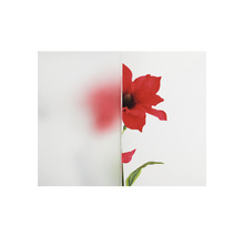 Glasdekorfolie mit Blumenmuster zur Dekoration