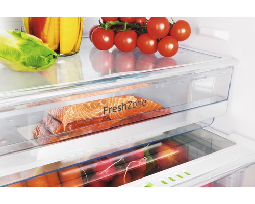 Blick in einen Kühlschrank mit Gemüse und Fisch in einer Frischhaltezone