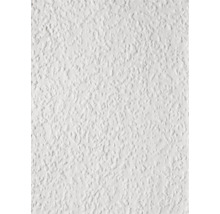 Nahaufnahme einer weißen Rauhfasertapete mit grober Struktur