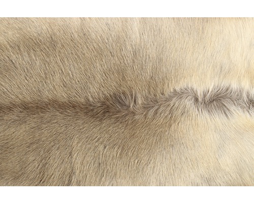 Nahaufnahme eines hellen Rentierfells.