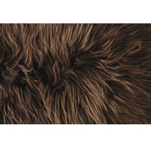 Nahaufnahme eines Teppichs mit langen Fasern