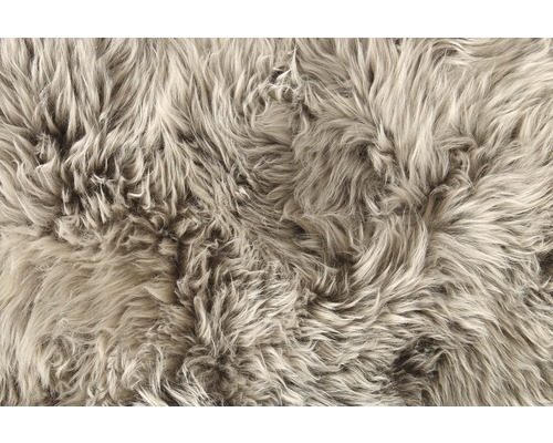 Nahaufnahme eines Teppichs mit hohem Flor