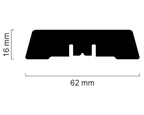 Profilquerschnitt mit Maßangaben 16 mm und 62 mm