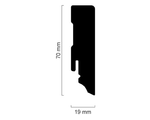 Profilquerschnitt mit Maßangaben 70 mm und 19 mm