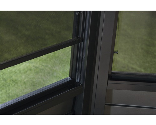 Detailansicht eines Fensters mit Insektenschutzgitter.