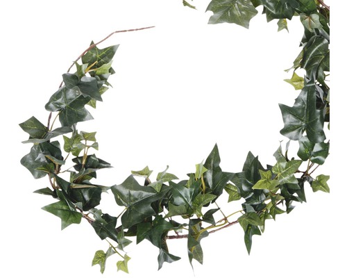 Girlande aus Efeu zur Dekoration