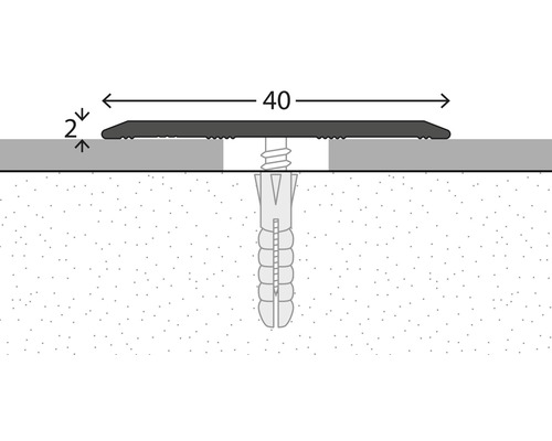 Illustration einer Schraube mit Dübel in der Wand, Maße: 40 Millimeter breit, 2 Millimeter hoch