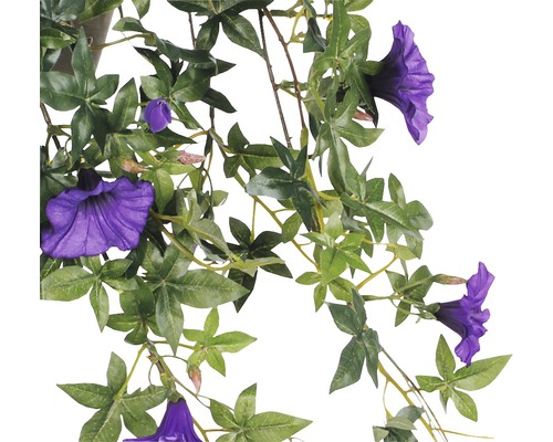 Hänge-Kunstblume Petunie Höhe: 25 cm violett | HORNBACH AT