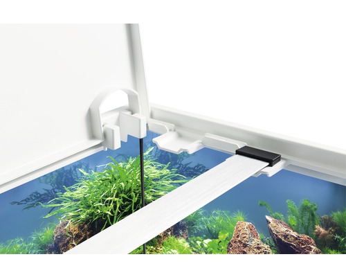 Detailansicht eines Aquariums mit geöffnetem Deckel, Pflanzen und Steinen