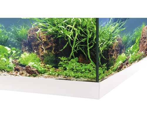 Detailansicht eines Aquariums mit Steinen, Pflanzen und weißem Unterschrank