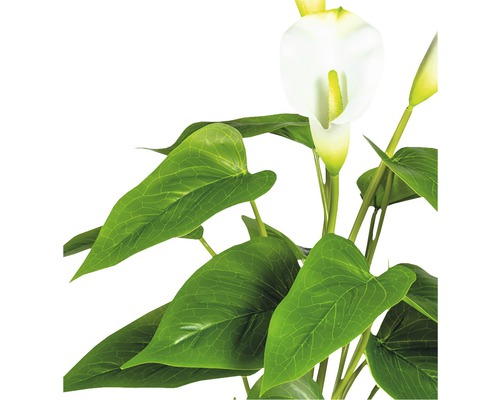 Künstliche Calla mit grünen Blättern