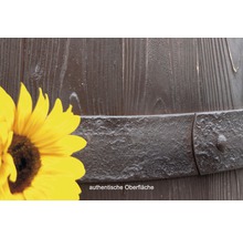 Detailaufnahme einer Fassdaube mit Metallreifen und Sonnenblume
