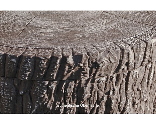 Detailansicht eines Baumstumpfes aus Stein