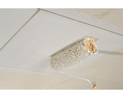 Farbroller beim Streichen einer Decke