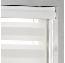 Fenster mit blickdichtem Doppelrollo