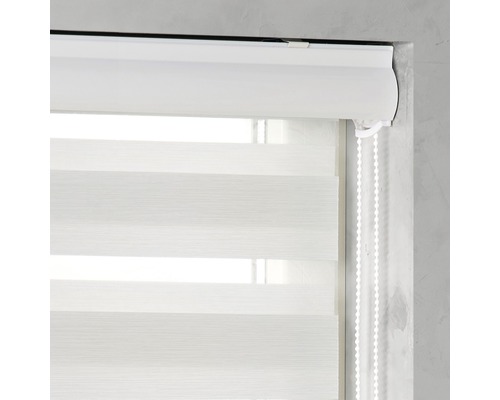 Fenster mit blickdichtem Doppelrollo