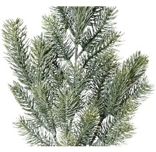 Nahaufnahme eines künstlichen Tannenzweigs