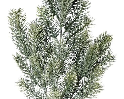 Nahaufnahme eines künstlichen Tannenzweigs