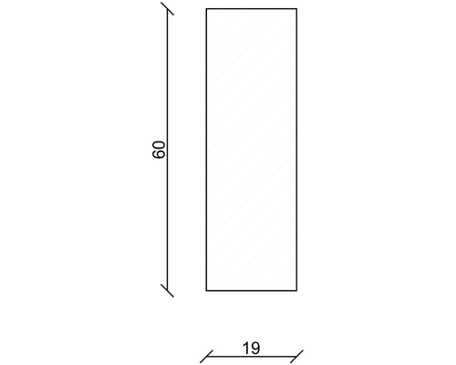 Technische Zeichnung mit Maßangaben: 60 x 19.