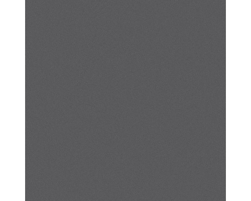 Einfarbiger grauer Hintergrund.