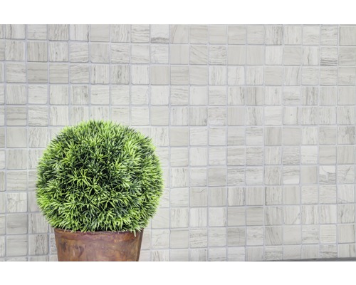 Szene mit Mosaikfliesen und einer Topfpflanze