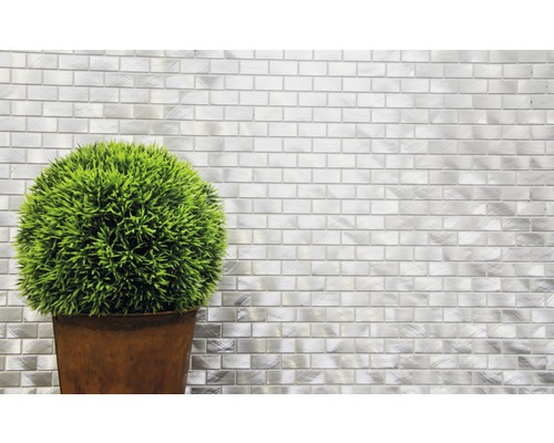 Dekorative grüne Pflanze in einem Topf vor einer Wand mit Metallmosaikfliesen