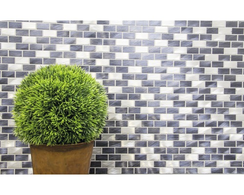 Dekorative Zimmerpflanze vor Mosaikwand