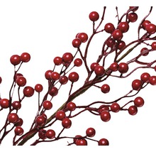 Dekorative Zweige mit roten Beeren